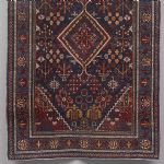 1233 2224 CARPET